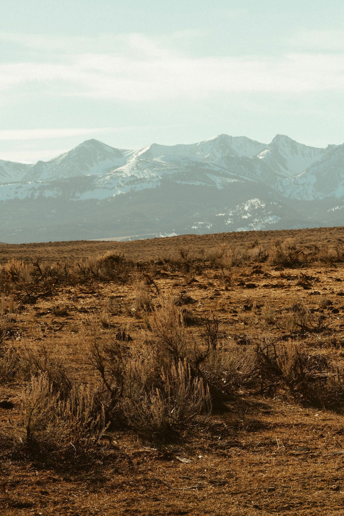 Skyeland small batch luxury skincare made in Montana