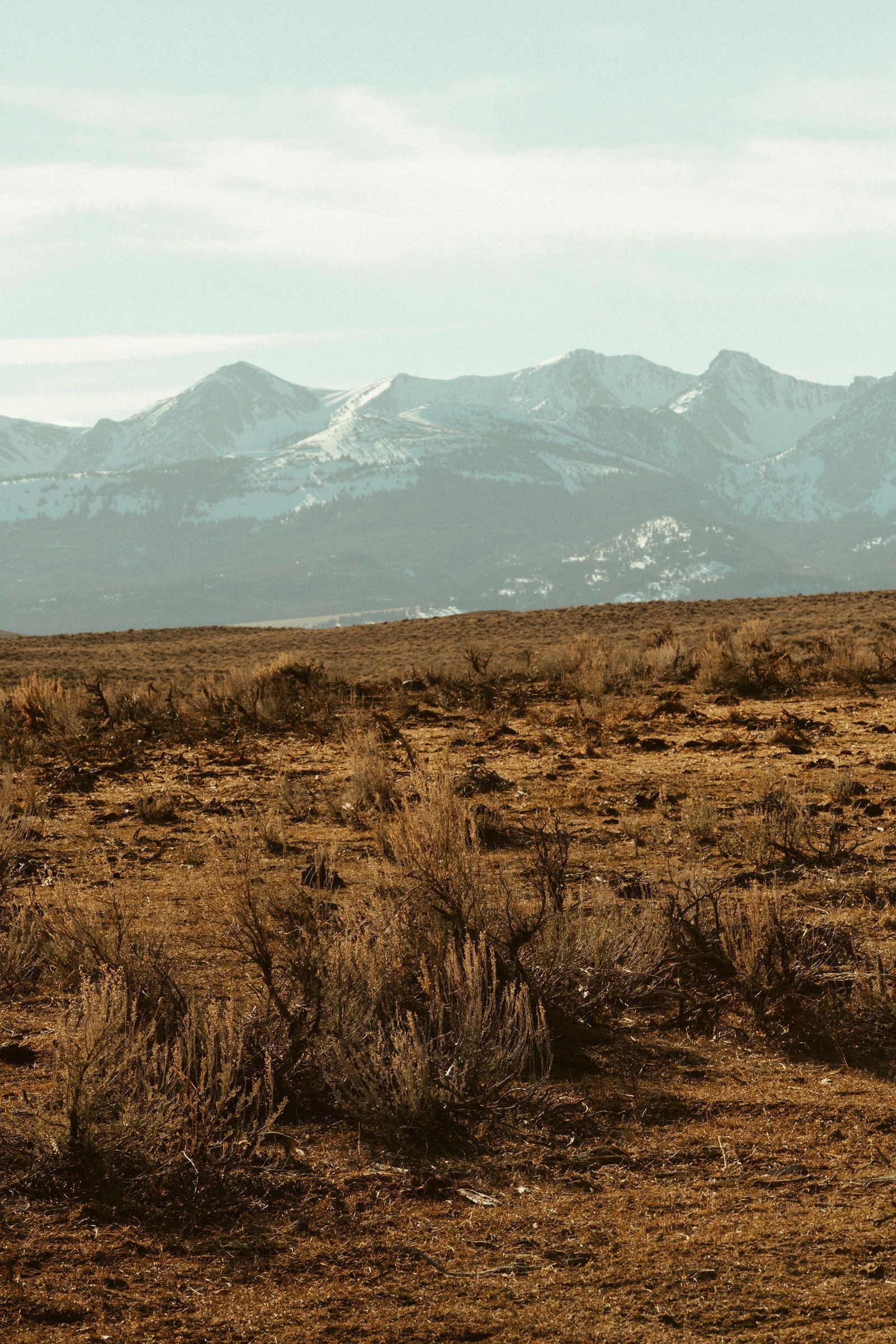 Skyeland small batch luxury skincare made in Montana